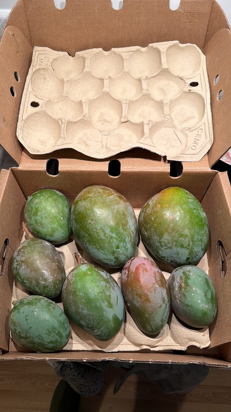 Customer photo review of Mango Haden Bio baumgereift Sonderaktion %