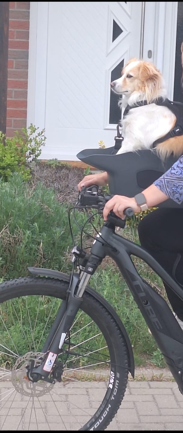 Customer photo review of Kvisp Dog Bike Carrier (Refurbished)
