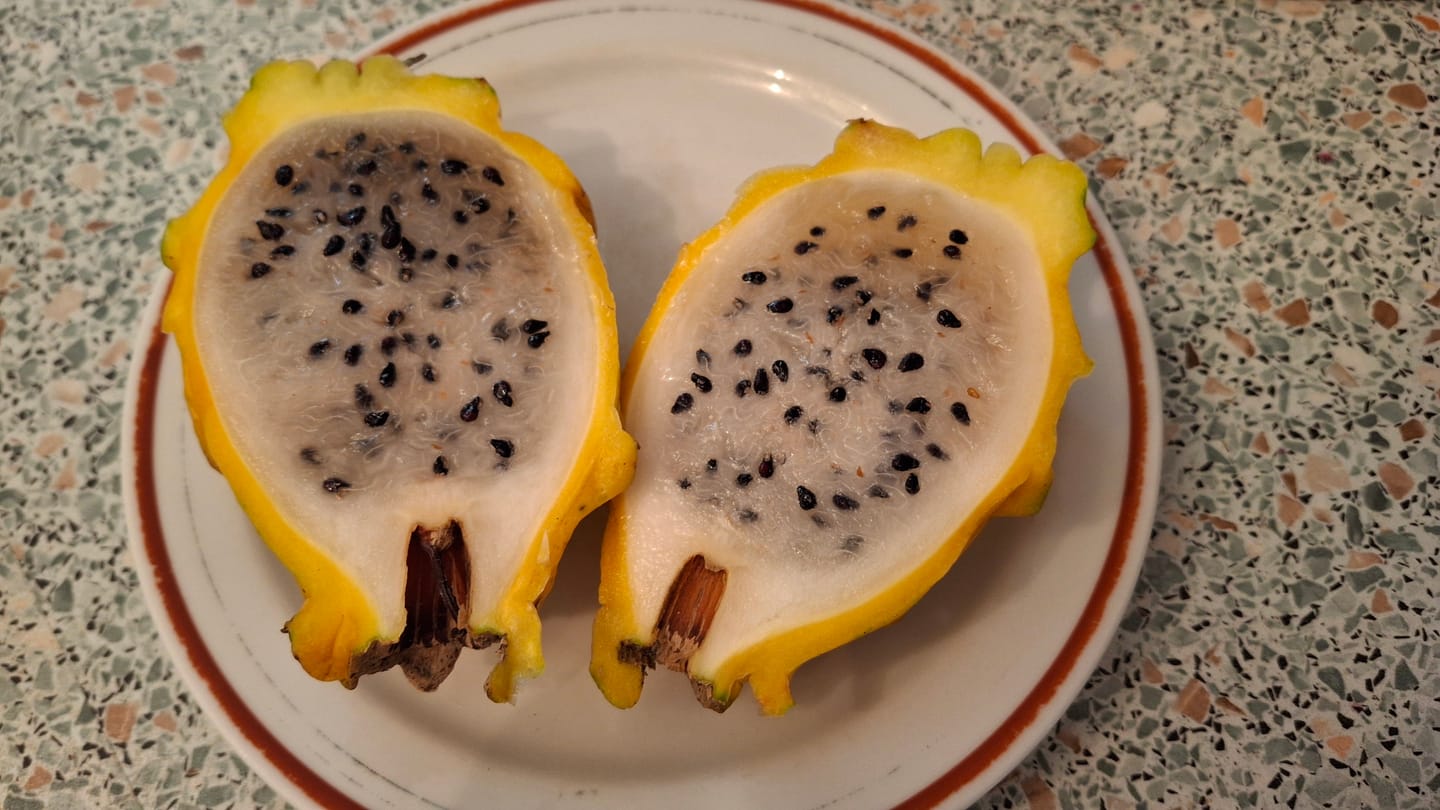 Customer photo review of Goldene Drachenfrucht (Pitaya) Sonderaktion