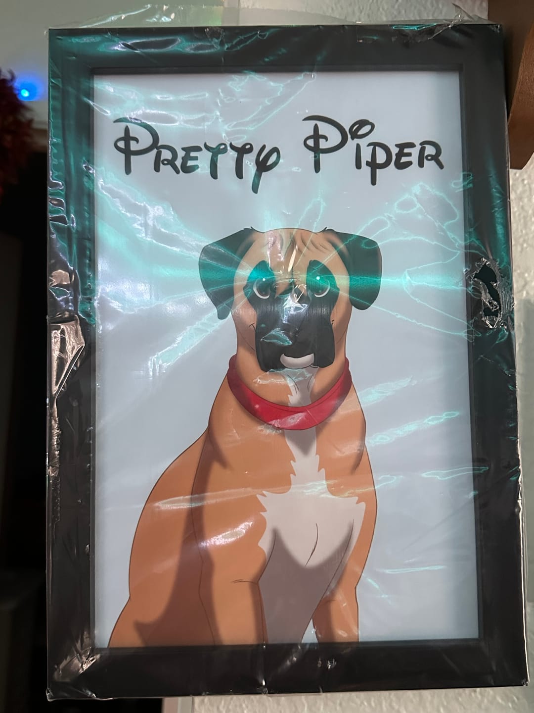 Customer photo review of Frame | Custom Hand-Drawn Cartoon Pet Portrait