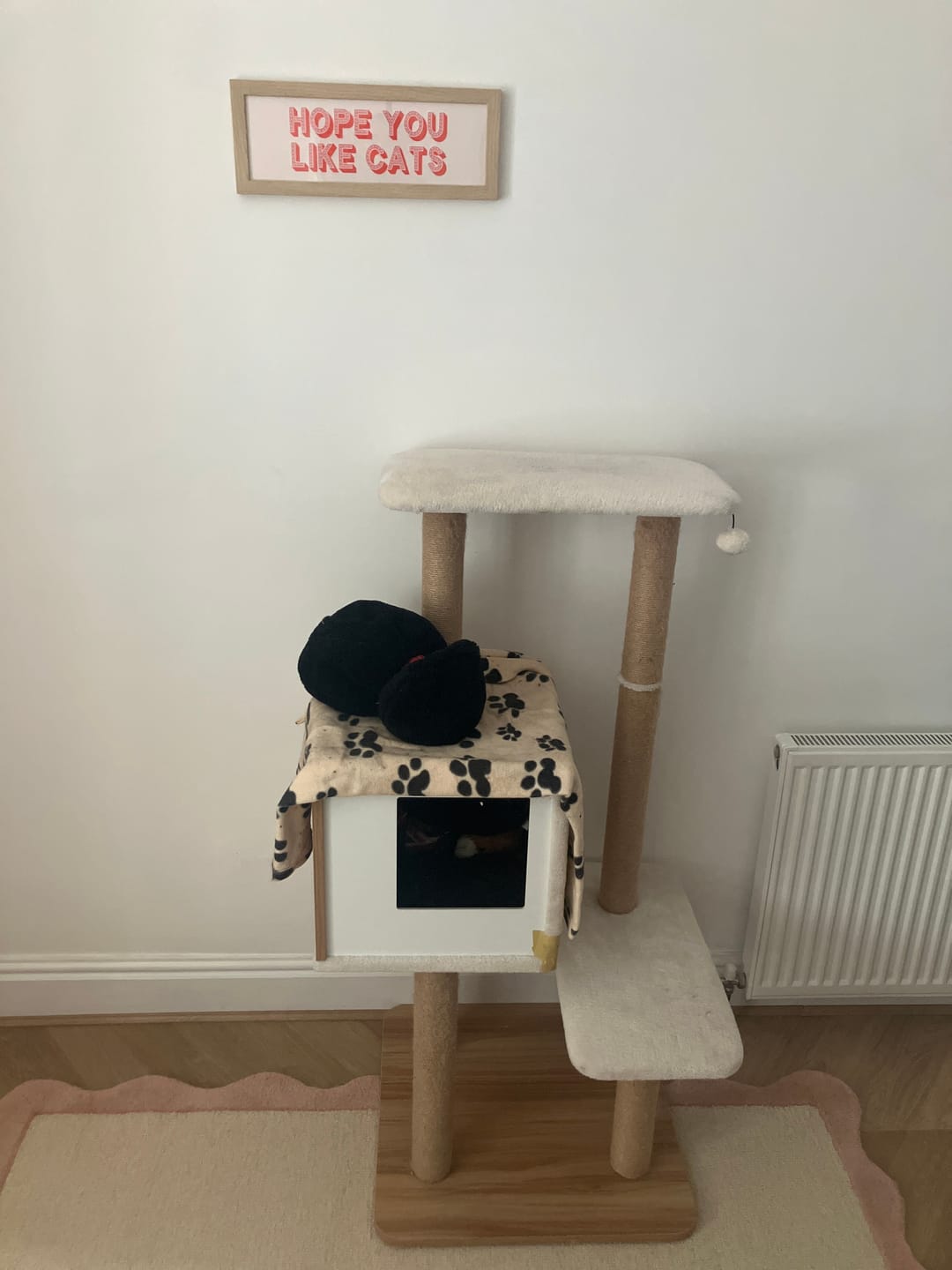 Customer photo review of Hope You Like Cats Framed Print (New Style)