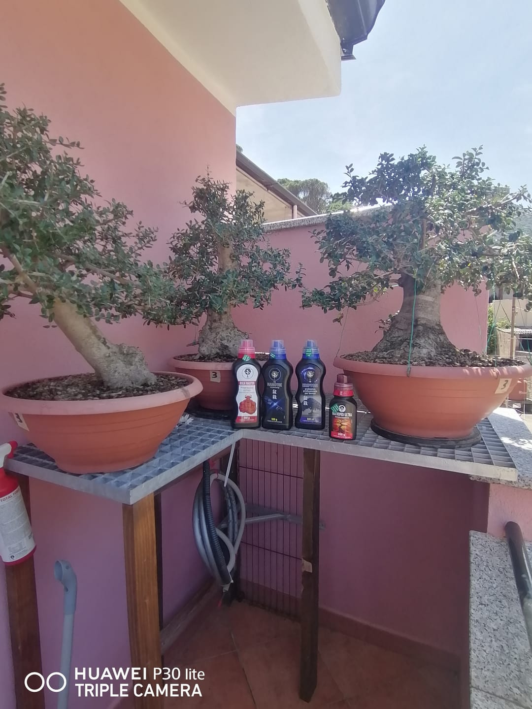 Customer photo review of PACK COMPLETO CONCIMAZIONE ESTIVA