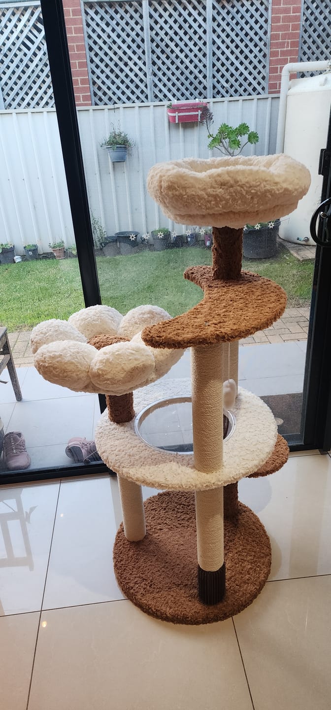 Customer photo review of Natural Bloom Multi-Platform Cat Tree