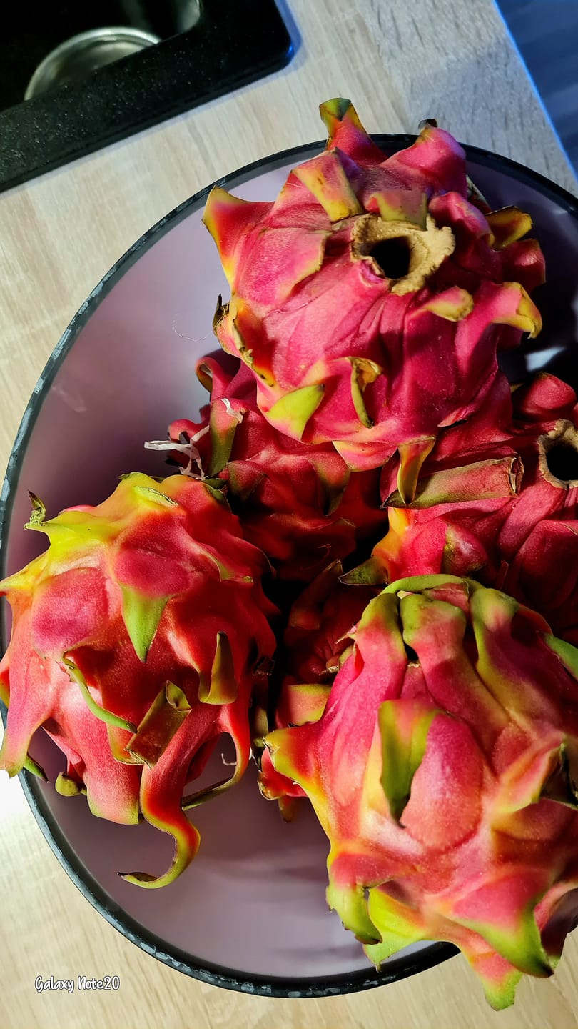 Customer photo review of Drachenfrucht rot von Julian Aktionspreis % 2kg