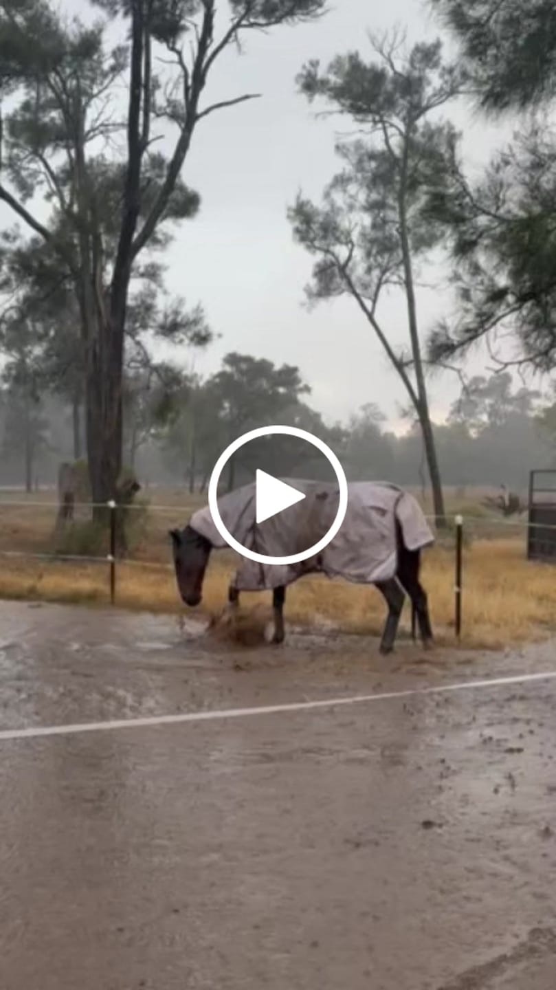 Customer video review of LE Boxter Turnout 0g
