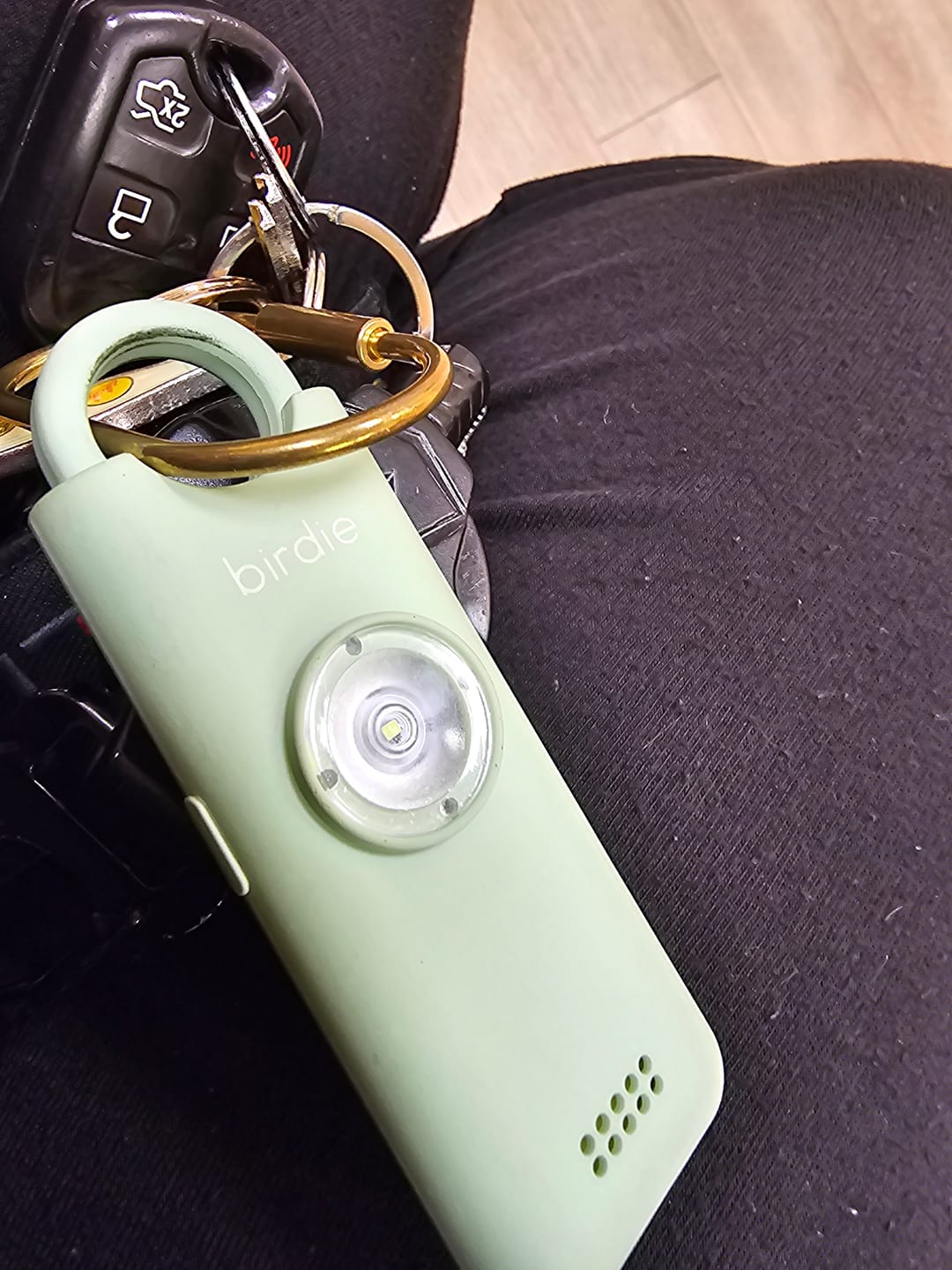Customer photo review of Birdie 3.0
