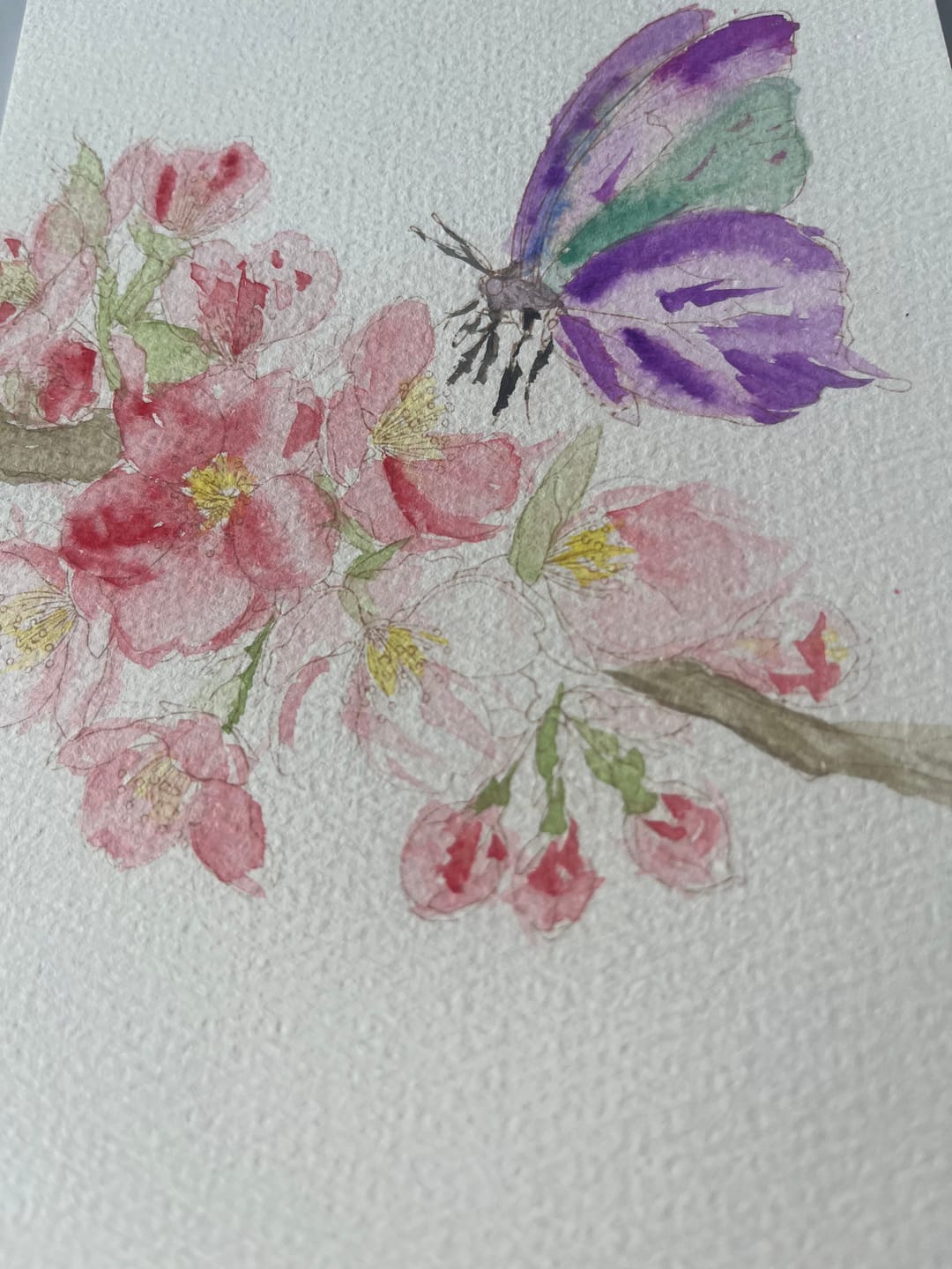 Customer photo review of Kit anti-stress créatif