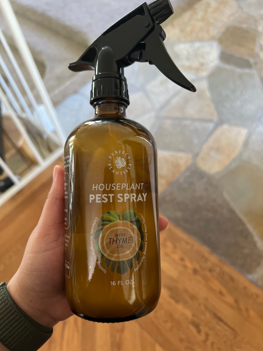 Customer photo review of Houseplant Pest Spray