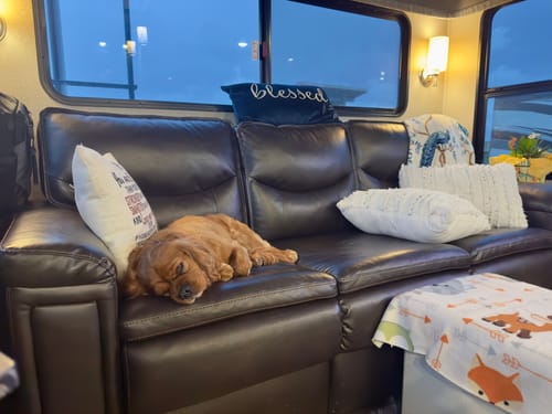 Customer photo review of Necto RV Pet Temperature Monitor