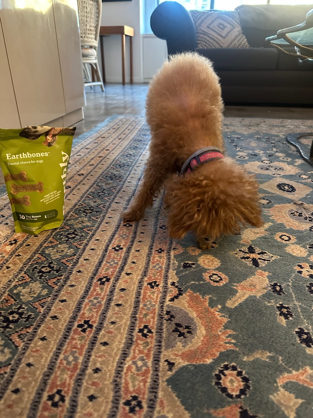 Customer photo review of Earthbones Dental Chews For Dogs