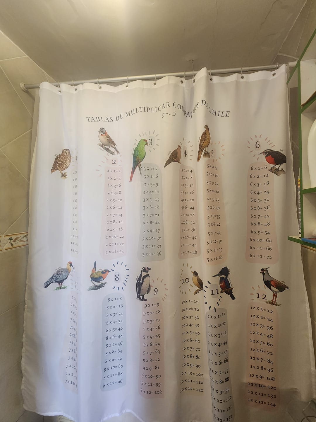 Customer photo review of Cortina de baño Tablas de multiplicar con Pájaros chilenos