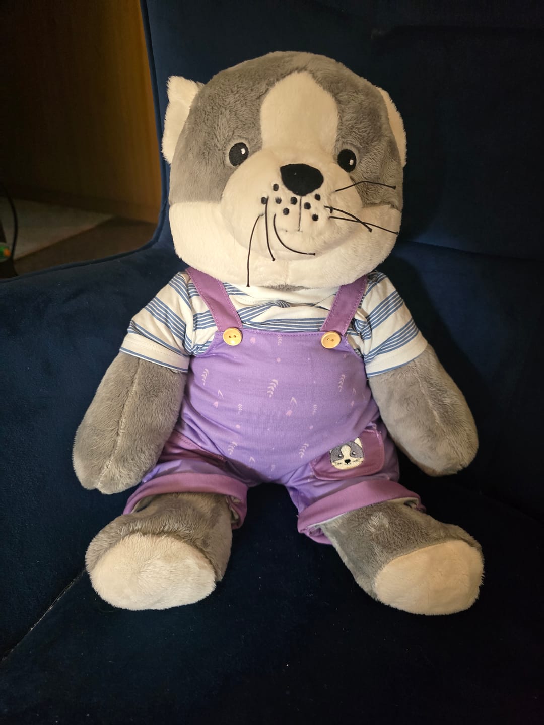 Customer photo review of Lotgenootje Kat 2kg