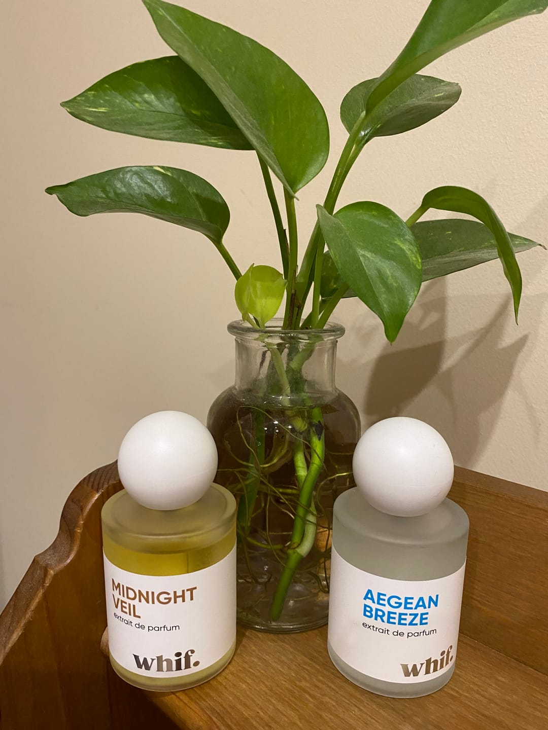Customer photo review of Midnight Veil