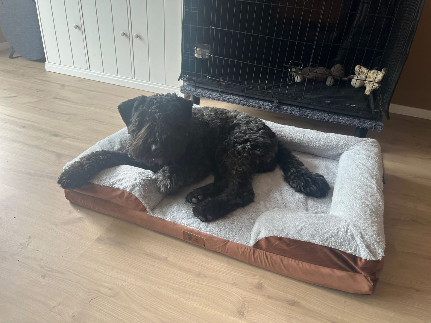Customer photo review of Pet Perfect Orthopedische Hondenmand - Model 3