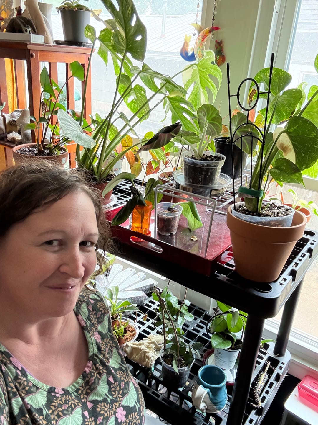 Customer photo review of Fungus Gnat Death Drops