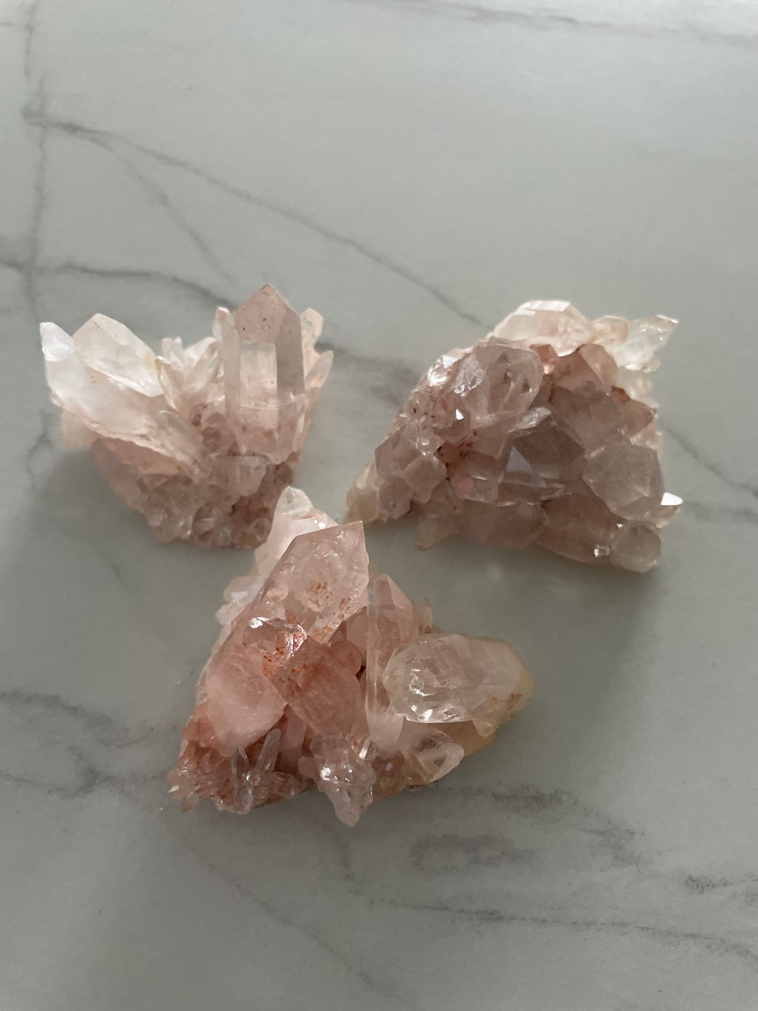 Customer photo review of gem benzo