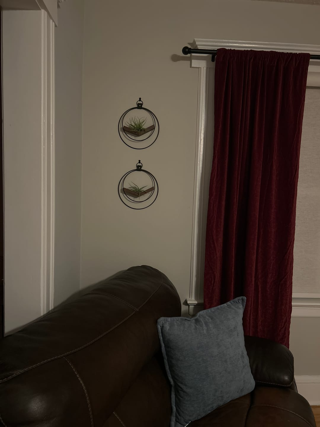 Customer photo review of Air Plant V-Hanger