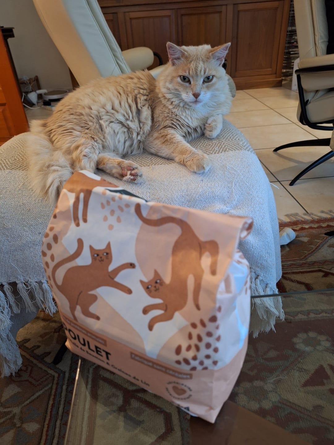 Customer photo review of Croquettes Chat Stérilisé Sans Céréales - Poulet