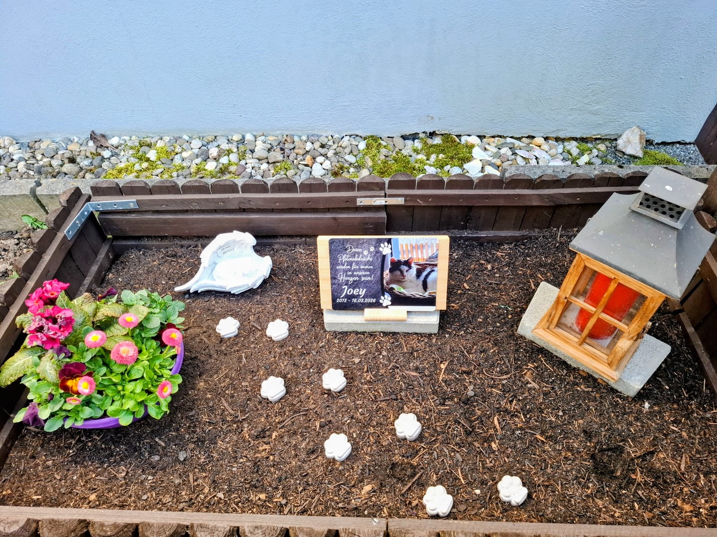 Customer photo review of Katzen Gedenktafel mit Foto & Spruch (UV- & Wetterfest)