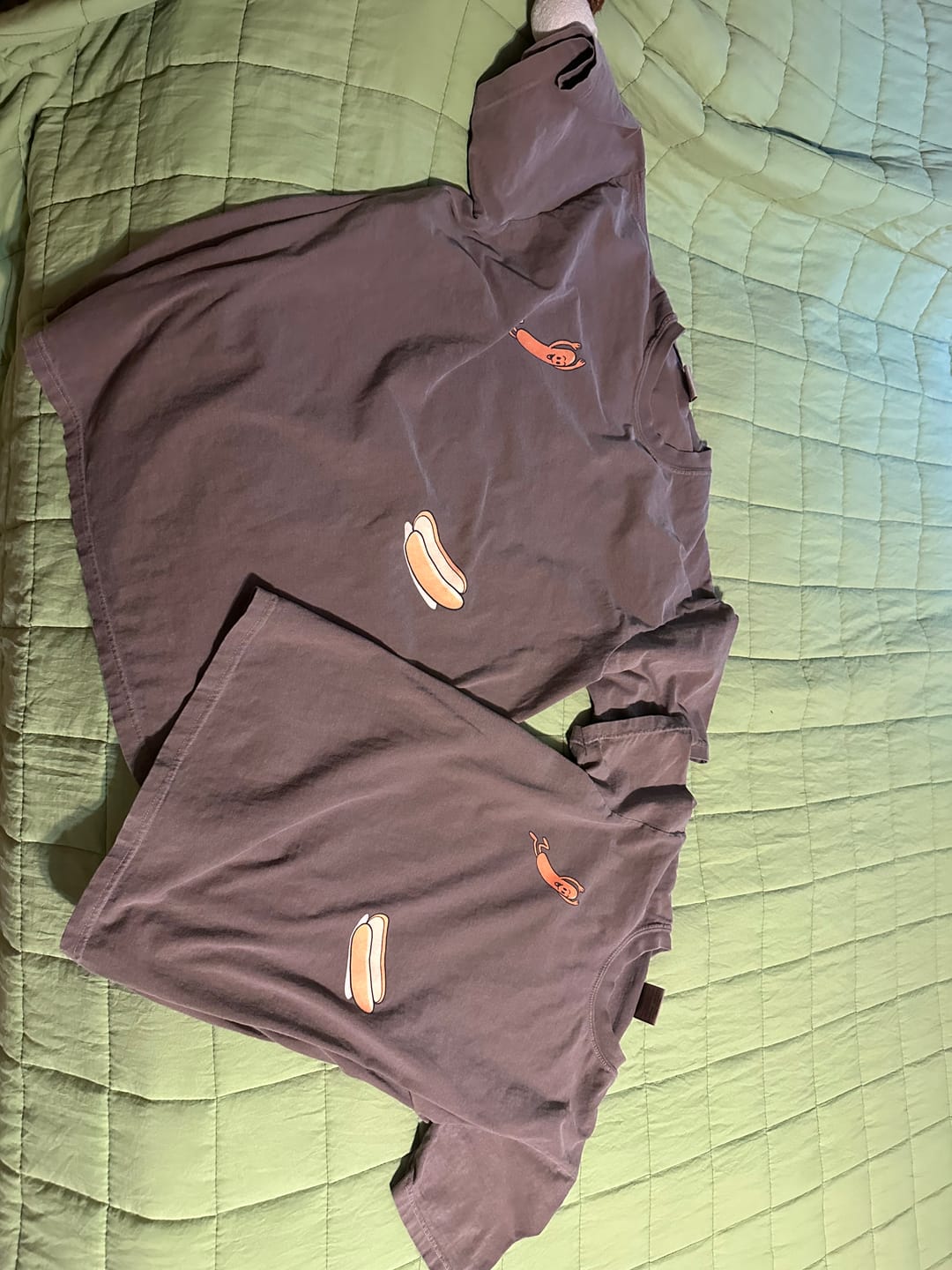 Customer photo review of Hotdog Dive — Premium Tee