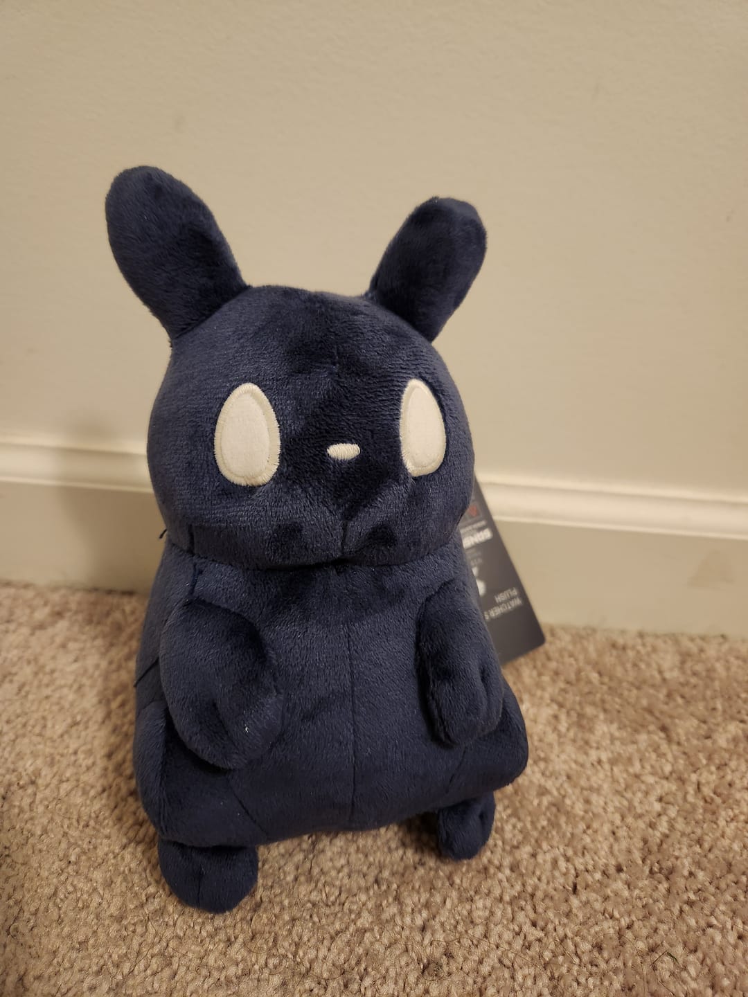 Customer photo review of Rain World - The Watcher Slugpup Plush