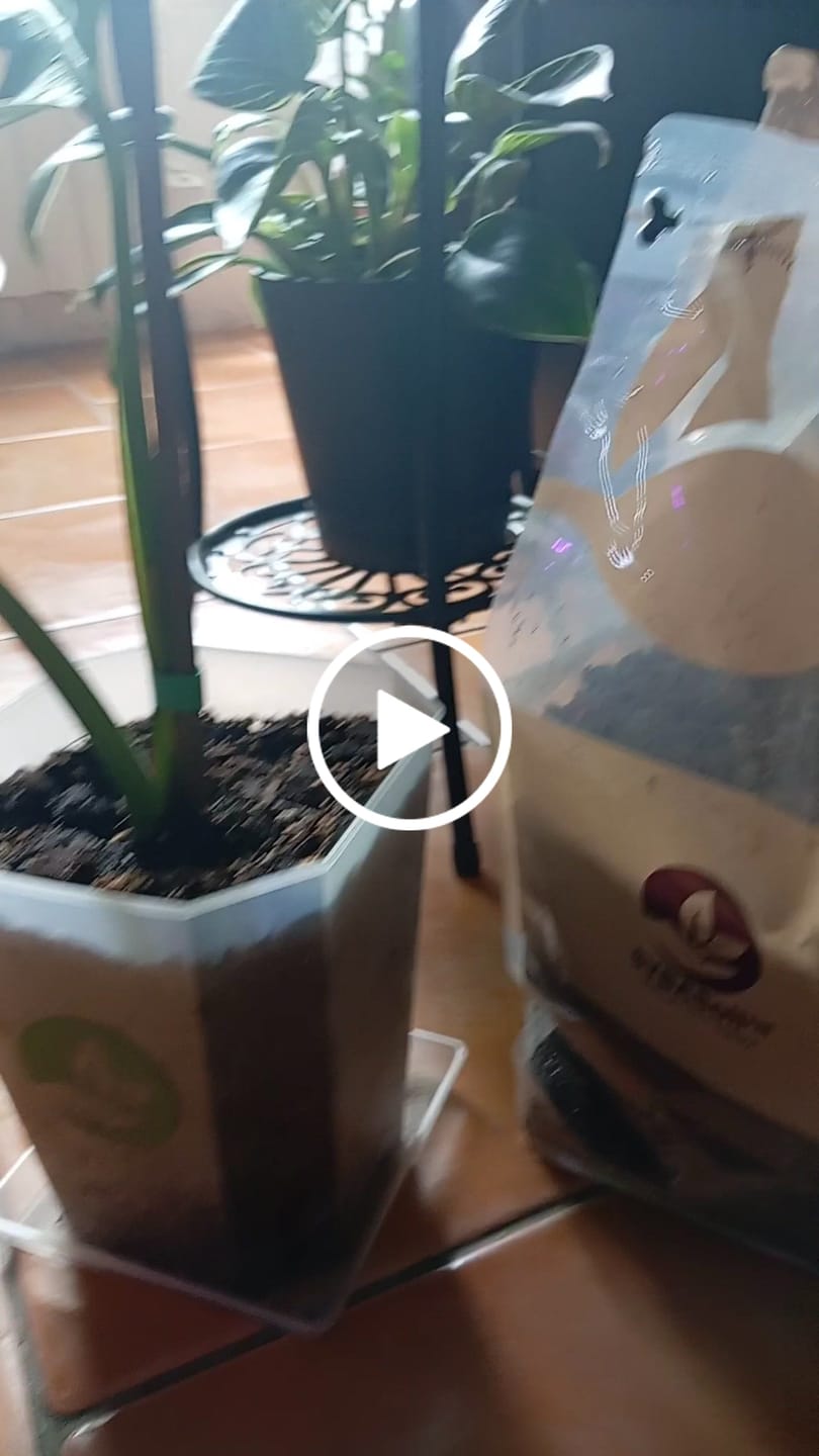 Customer video review of Biobased Climbing Sticks