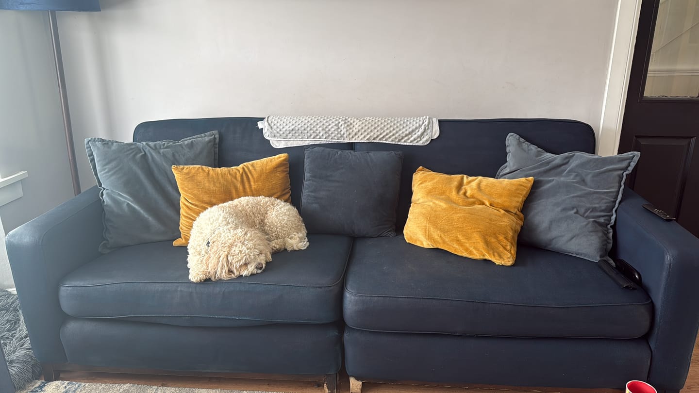 Customer photo review of Fabric Paint -- Dark Blue