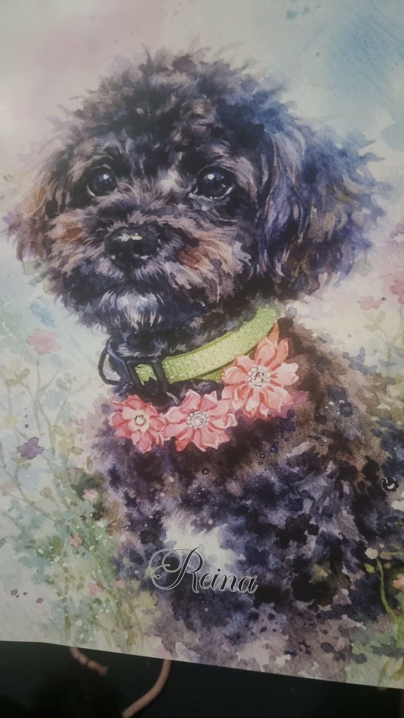 Customer photo review of Personalised Poster With Dog or Cat - Watercolour