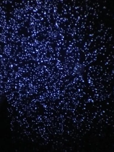 Customer photo review of Proyector Galaxia