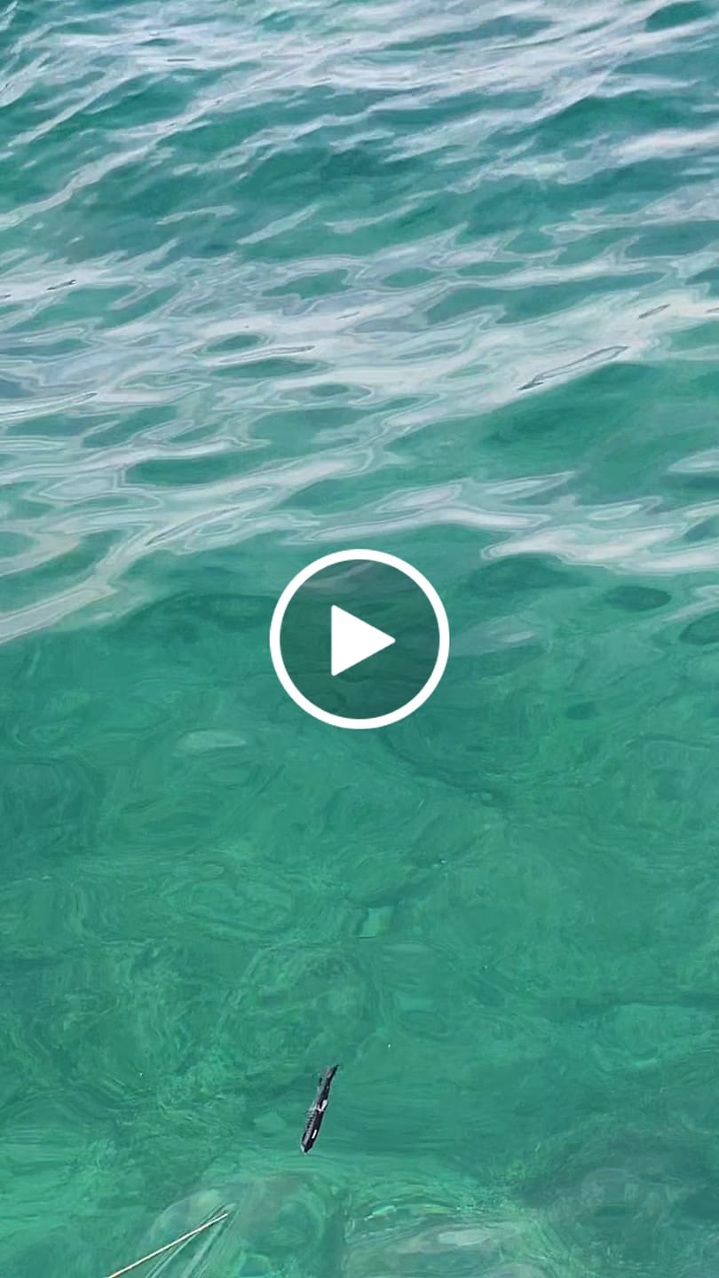 Customer video review of Glide Bait Trout Fishing Lure