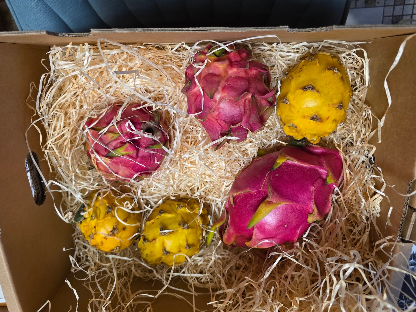 Customer photo review of Drachenfrüchte Trio Box Sonderaktion %