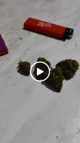 Customer video review of Amnesia Hydro CBD Flower ~14-18%