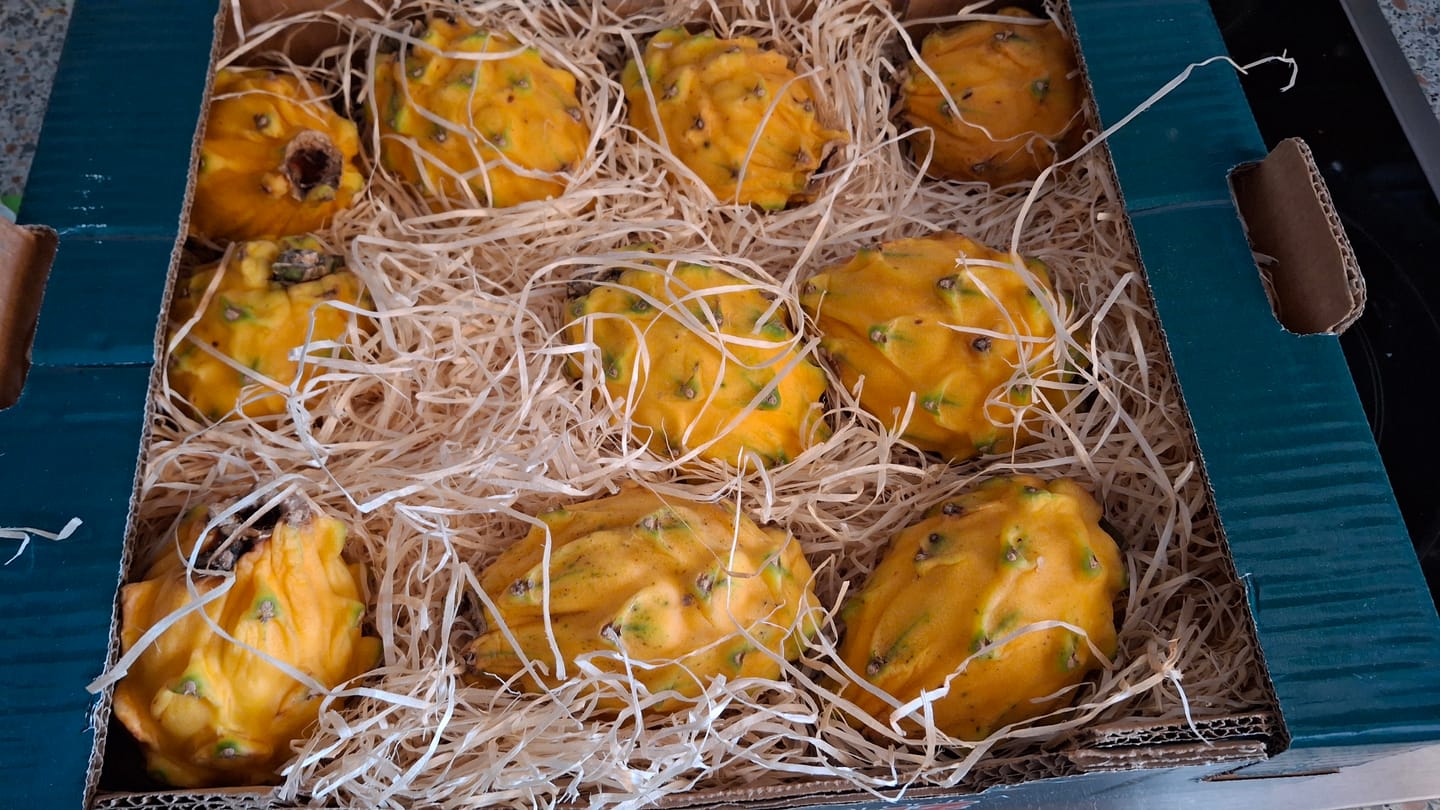 Customer photo review of Goldene Drachenfrucht Sonderaktion % 2kg