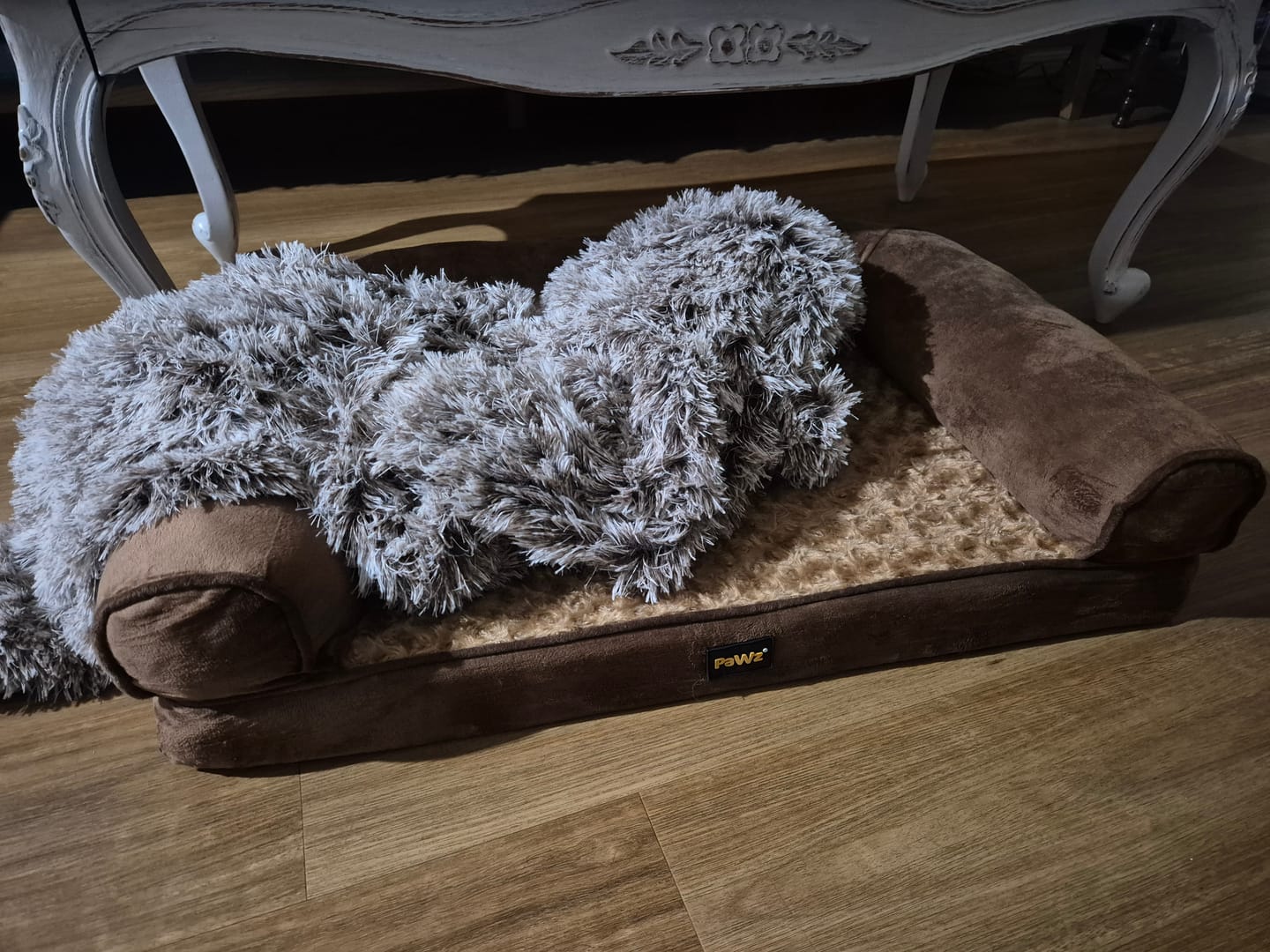 Customer photo review of Pet Sofa Bed