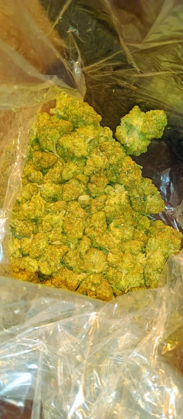 Customer photo review of Alien OG - Bulk - Indica