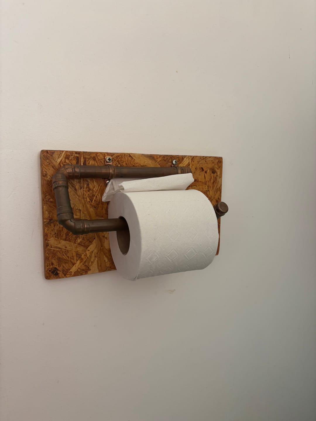 Customer photo review of 100% Recycled Toilet Paper