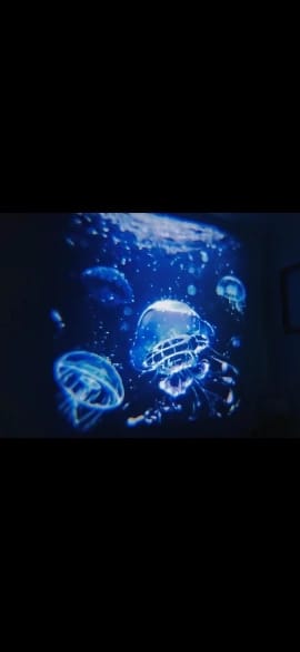 Customer photo review of Proyector Galaxia
