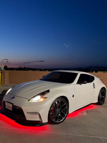 Customer photo review of Custom Japanese License Plate - Vanity & Magnetic Cover