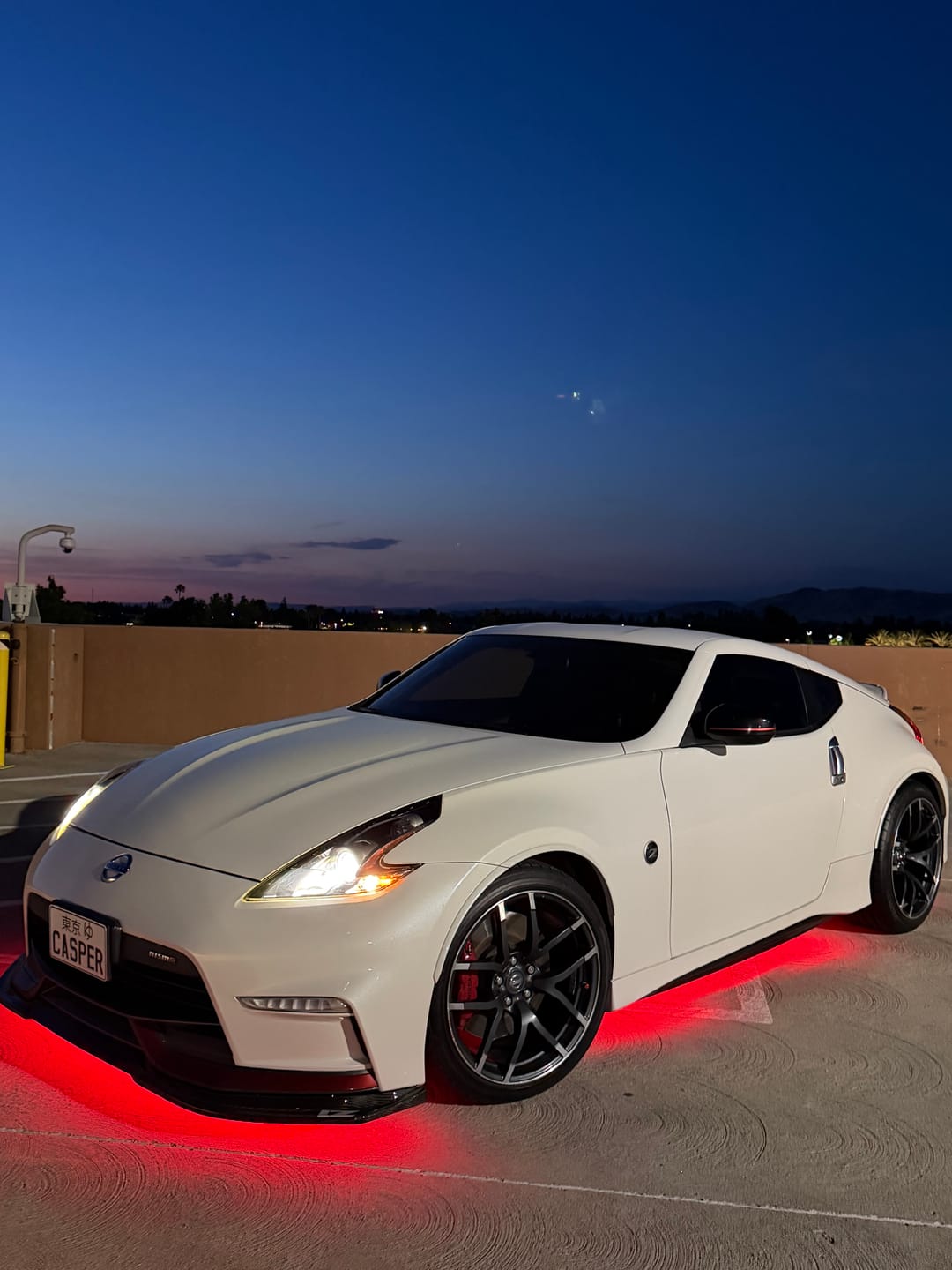 Customer photo review of Custom Japanese License Plate - Vanity & Magnetic Cover