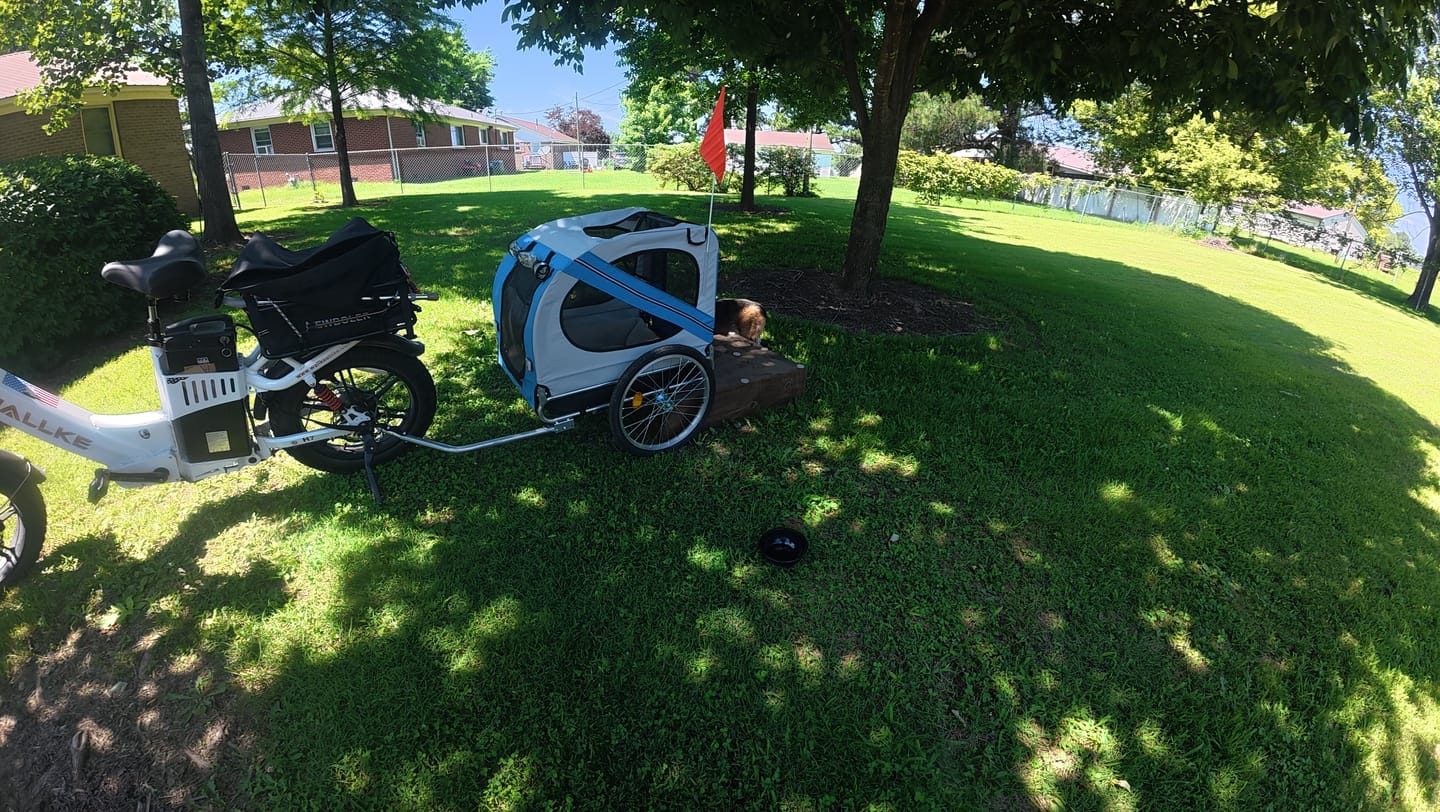 Customer photo review of Pet/Cargo Trailer