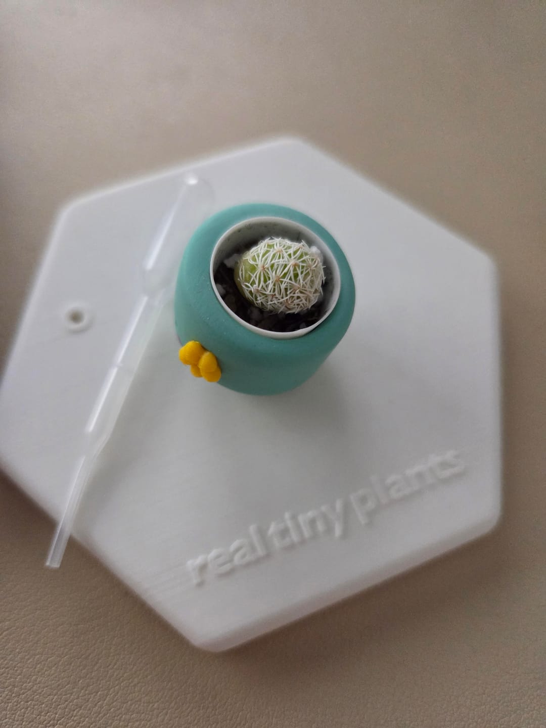 Customer photo review of Tiny Mama Special Edition: Daisy Mama