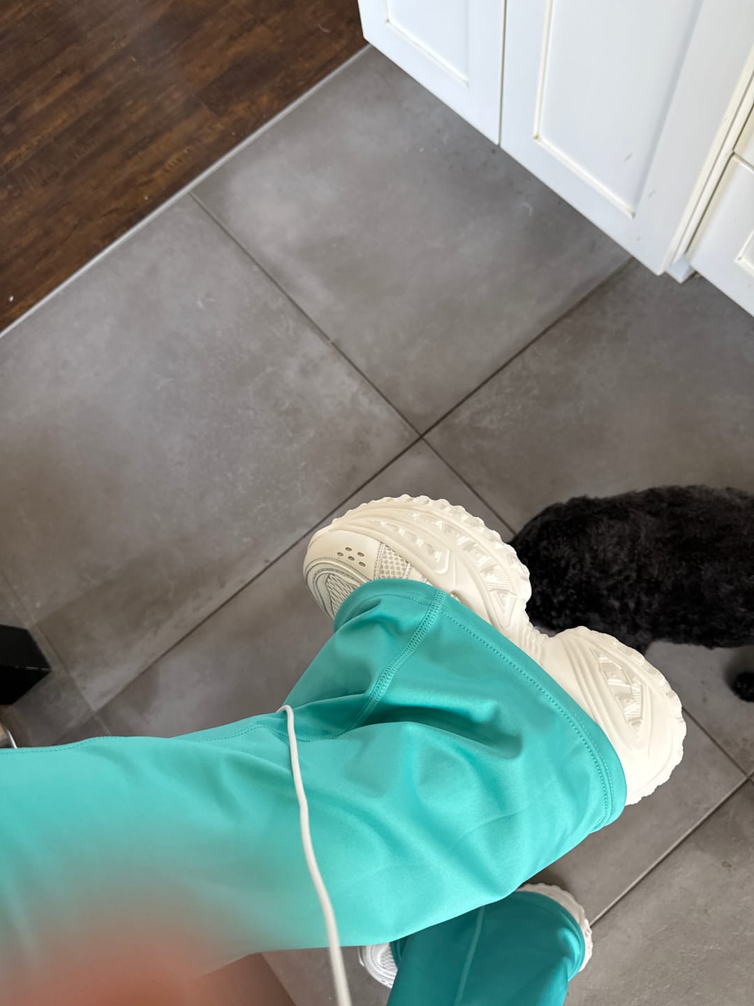 Customer photo review of Blaze - 10cm (3.9")
