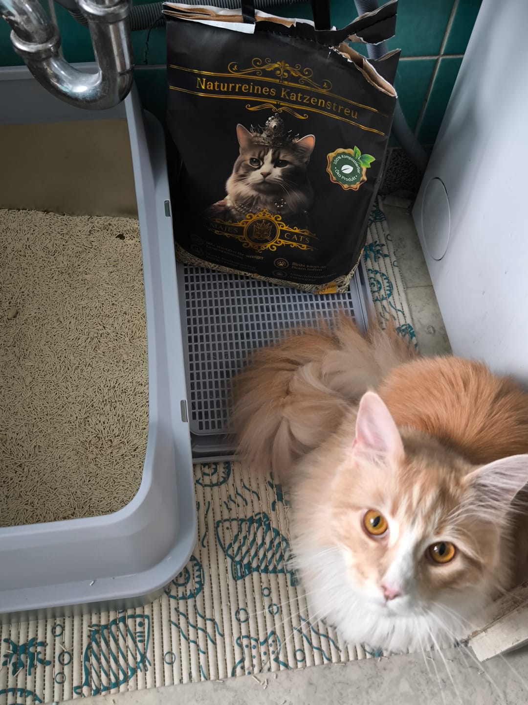 Customer photo review of Naturreines Katzenstreu