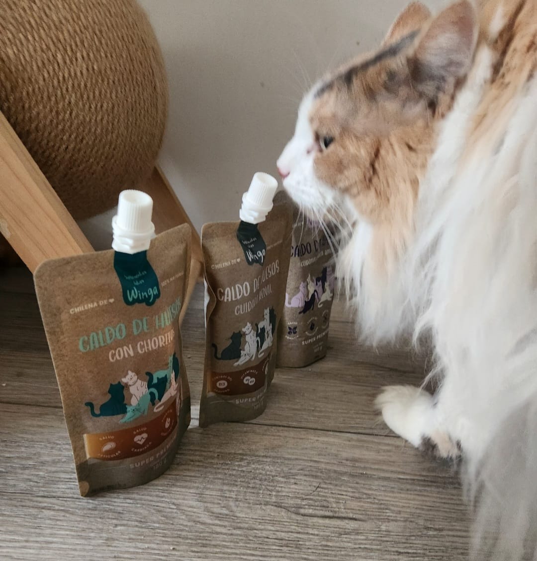 Customer photo review of Caldo de Huesos Renal Gatos