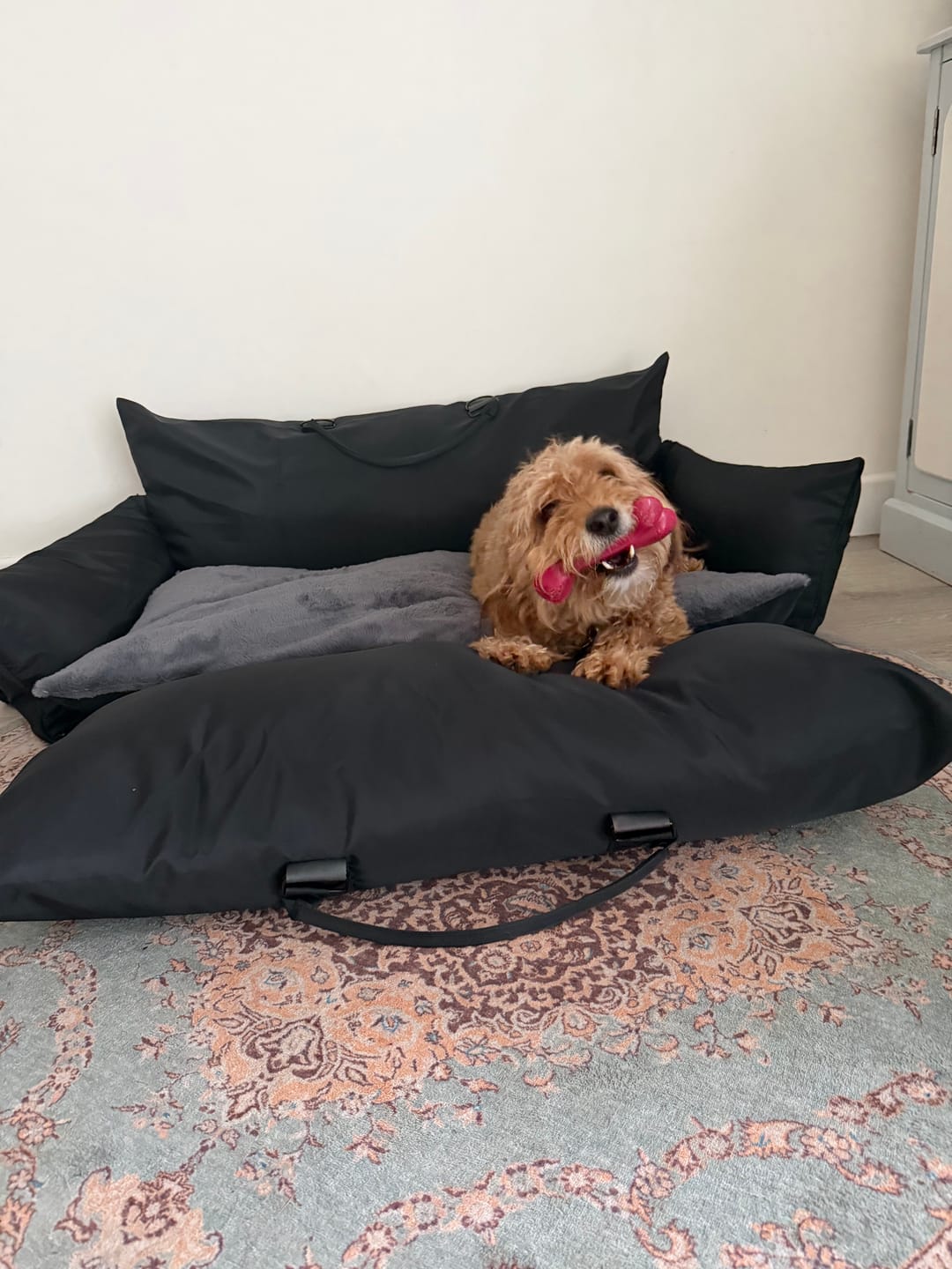 Customer photo review of Travel Dog Pod XL - Now With Isofix