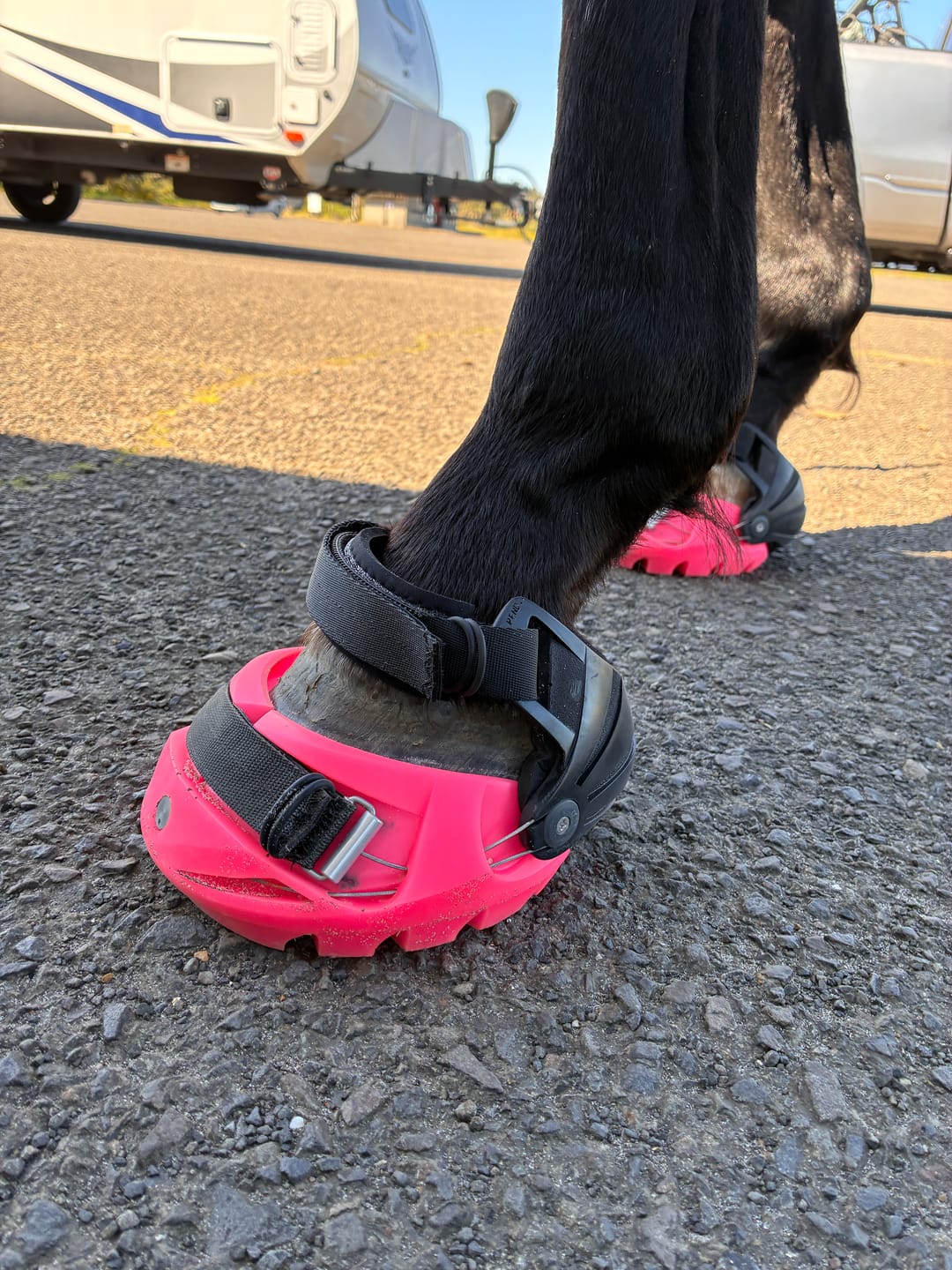 Customer photo review of Renegade® Viper Hoof Boot ULTRA-BLEM Seconds -- Blind Box Mystery Selection