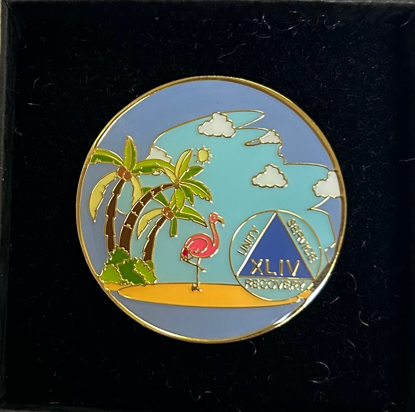 Customer photo review of 1 to 60 Year Beach Themed Specialty AA Recovery Medallion - Tri-Plated Chip/Coin