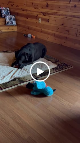 Customer video review of Mother's Day T-Shirt