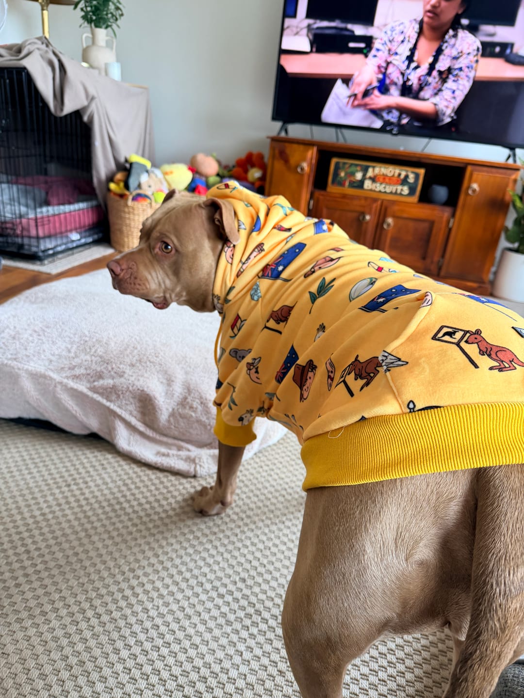 Customer photo review of The Australia Dog Hoodie - Yellow