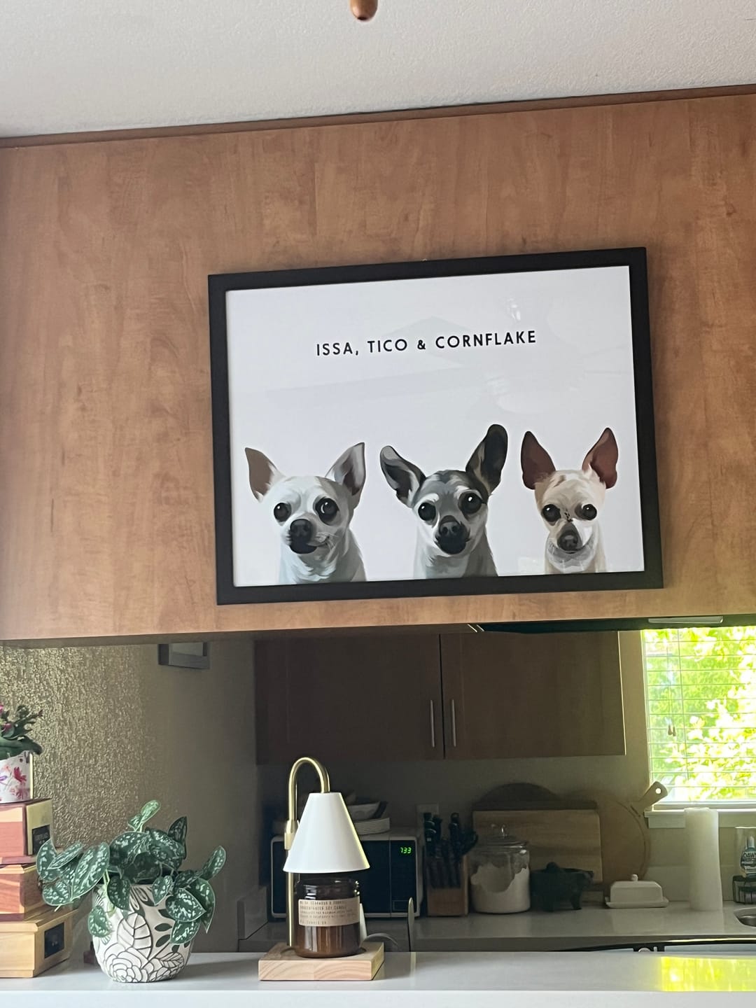 Customer photo review of Custom Three Pet Portrait
